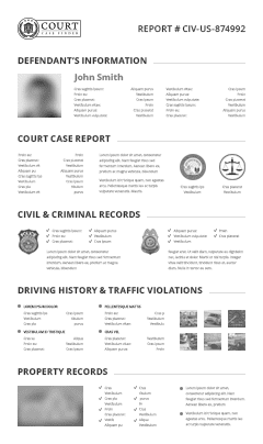 Instant Court Case Lookup - CourtCaseFinder.com